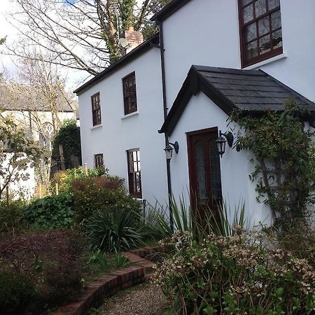 The Laurels Bed And Breakfast Cardiff Exteriér fotografie