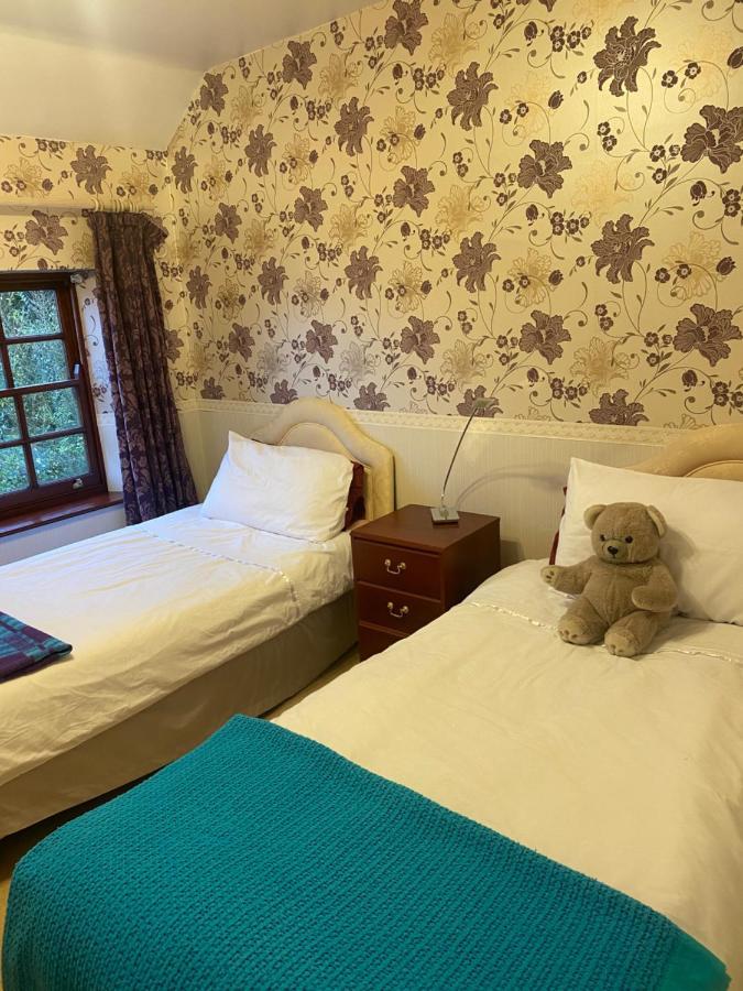 The Laurels Bed And Breakfast Cardiff Exteriér fotografie